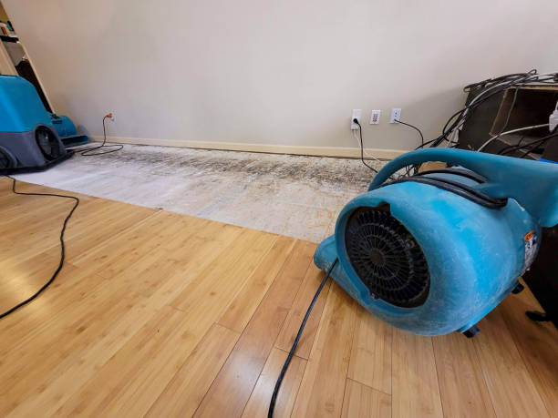 Professional Structural Drying technician working in Egan, SD